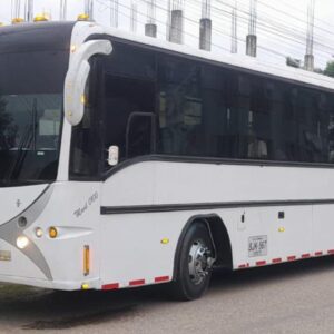 Grupo empresarial MP BS7